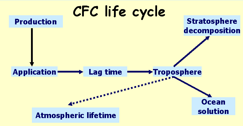 CFCs life circle